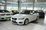 BMW 230 2 Cabrio 230 i M Sport *1.Hand*56tkm*Kamera - gebrauchte Cabrios in Hanau