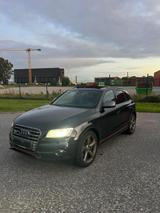 Audi SQ5 3.0 TDI tiptronic quattro - - Audi SQ5 in Oldenburg
