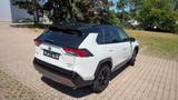 Toyota RAV 4 2.5 AWD-i Automatik 4x4  - gebrauchte Toyota RAV 4 aus dem Jahr 2024