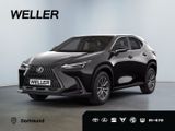 Lexus NX 350h Executive Line *Bi-LED*360°*ACC*el Heck* - Lexus NX 350h Neuwagen