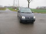 Fiat Panda 1.2 8V Dynamic - Fiat Panda Gebrauchtwagen in Hannover