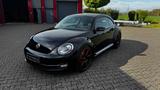 Volkswagen Beetle Lim. Sport 20 Zoll Alu Bi-Xenon Navi - gebrauchte VW Beetle aus dem Jahr 2013