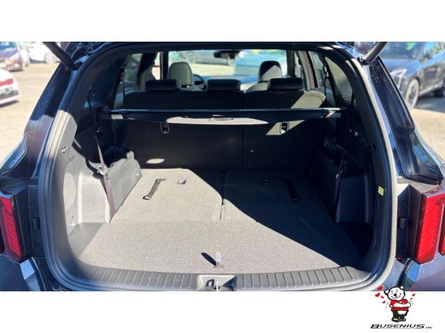 Kia Sorento 2.2 CRDI Platinum 4WD 7-Sitzer +AHK+Napp
