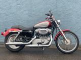 Harley-Davidson XL 883 CUSTOM - HARLEY-DAVIDSON 883 C