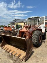 Hanomag B 14C /MF 55C Radlader - Hanomag LKWs