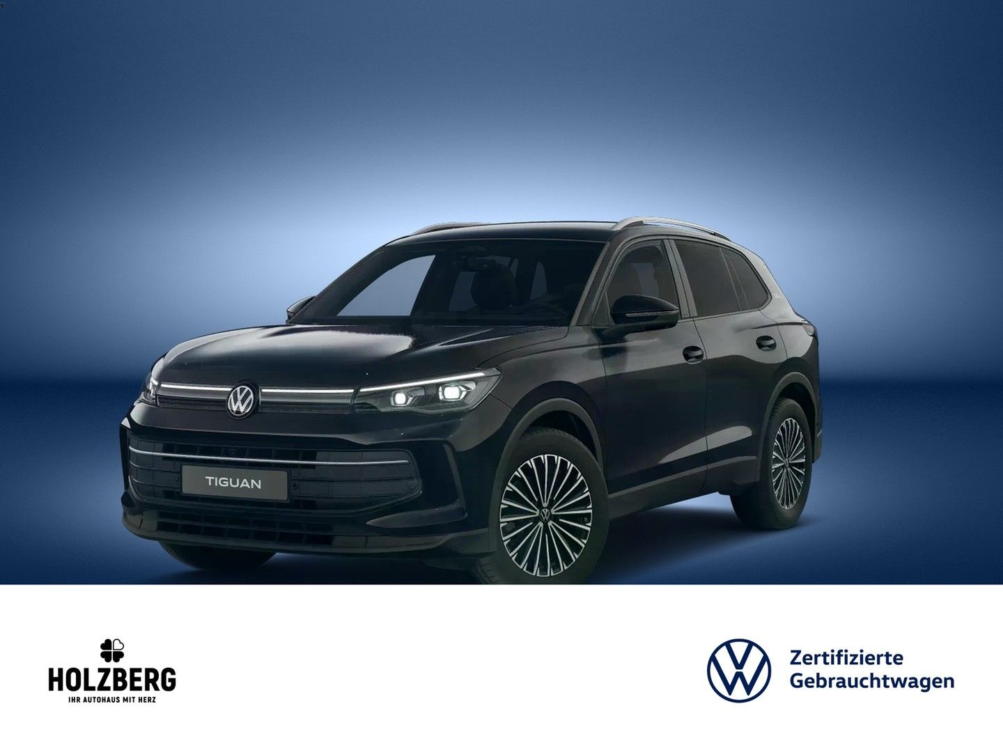 Volkswagen Tiguan - Bild 2