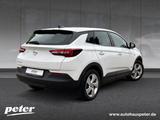 Opel 1.6 Plug-in-Hybrid Edition Automatik Sitzheizung - Opel Grandland (X) Gebrauchtwagen in Duisburg