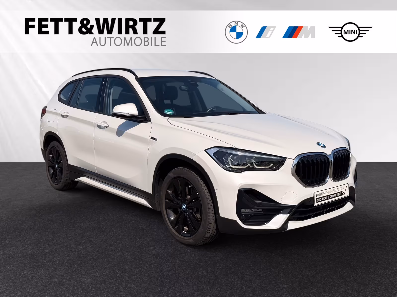 BMW X1 xDrive25e Sport Line 18" AHK LED DAB Navi