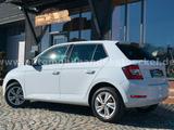 Skoda FABIA 1.0 TSI DSG STYLE +LED+CAM+ALU+WINTER+ - Skoda Fabia: Style