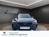 Cupra Formentor VZ 2.0 TSI 4Drive 310 PS DSG AHK/SHZ/R - Cupra Formentor 310 Gebrauchtwagen