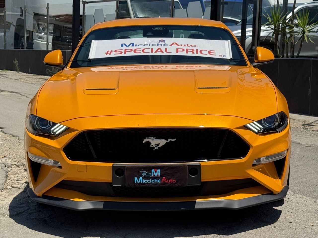 Ford FORD MUSTANG 5.0 GT V8 450 CV MANUALE FULL IVA imagem 3