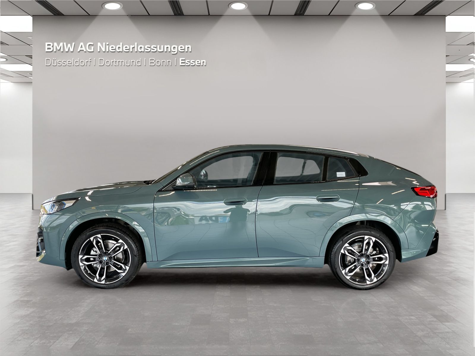 BMW X2 sDrive20d M Sport AHK Driv.Assist.Prof LED foto 5
