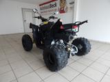 Aeon Cobra 424 SX EFI Euro 5 - AEON COBRA QUAD