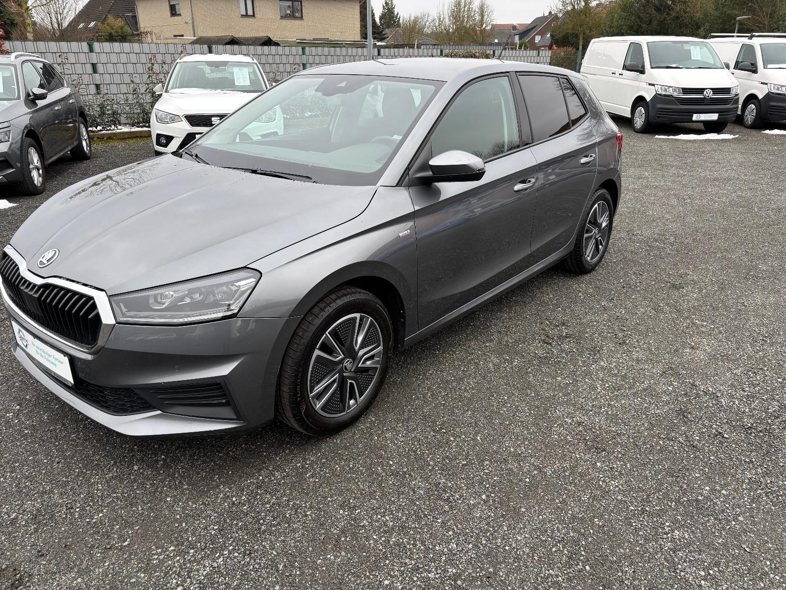 Skoda FABIA AMBITION TOUR LED/KLIMAAUT./LENKRADHEIZUNG