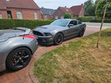 Ford Mustang Shelby GT 500 5.8 - Ford Mustang aus 2012: Shelby