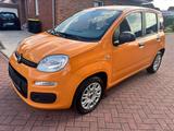 Fiat Panda 1,2 *KLIMA*TÜV NEU* - gebrauchte Fiat Panda aus dem Jahr 2018