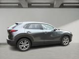 Mazda CX-30 2.0 DESIGN/ACTIV-P A18 ACC/360°/NAV/WR/AHK - Mazda CX-30 Gebrauchtwagen