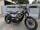 Triumph Street Scrambler 900 - TRIUMPH STREET SCRAMBLER