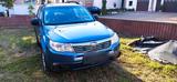 Subaru Forester Trend SUV 4x4 Top - Subaru Forester: Trend