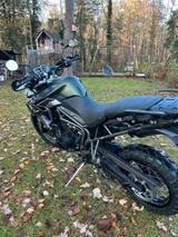 Triumph Tiger 800 XCA NEU: HU, Kette, Reifen, Inspektion - Angebote
