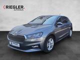 Skoda Fabia 1.0 TSI Winter+ Keyless Tempomat LED - Skoda Fabia Tageszulassungen
