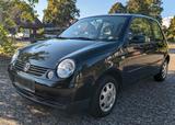 Volkswagen VW Lupo College,1.0 frisch TÜV,erst 58tkm - Volkswagen Lupo College mit Benzin-Antrieb