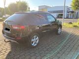 Renault Koleos Luxe 2.0 dCi FAP 4x4 Automatik Luxe - Renault Koleos: Luxe