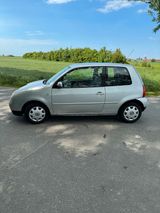 Volkswagen VW Lupo Rave 1.Hand Top Sparsam Zuverlässi... - Volkswagen Lupo aus 2005
