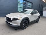 Mazda CX-30 Nagisa 140 Metallic - Mazda CX-30 mit Benzin-Antrieb: Nagisa