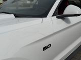 Ford Mustang 5.0 V8 Black Shadow Edition Grail - Ford Mustang Black Gebrauchtwagen
