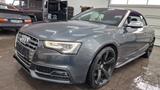Audi S5 Cabriolet 3.0 TFSI quattro S Sitze Navi Xenon - Audi S5 mit Benzin-Antrieb: Cabrio