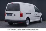 Volkswagen Caddy Maxi Kasten AHK/ALLWETTER/NAVI/KLIMA/PDC - Diesel Gebrauchtwagen in Flensburg