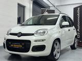 Fiat New Panda/SHZ/PDC/KLIMA/HU NEU/ZAHNR.NEU - scheckheftgepflegte Fiat Gebrauchtwagen