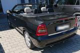 Opel Astra G Cabrio Bertone 2.2 mit wenig KM - Opel Astra: Bertone