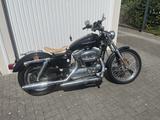 Harley-Davidson XL1200C Sportster Custom - 5HD XL2 - HARLEY-DAVIDSON 2005 SPORTSTER 1200
