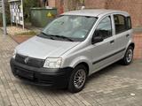Fiat Panda 1.1 8V Active - Fiat Panda Active mit Benzin-Antrieb