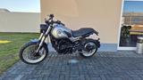 Benelli Leoncino 500 Trail - BENELLI LEONCINO 500 TRAIL