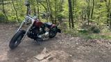 Harley-Davidson FLSTC - Custom Bike - Angebote
