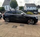 Audi sQ5 TDI Plus tüv 6/2027 neu - Audi SQ5 in Köln
