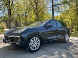 Porsche Cayenne S Tiptronic Luftfeder Glasdach Leder