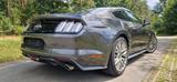 Ford Mustang GT 5.0 V8 Unfallfrei Deutsche Ausführung - Ford Mustang mit Benzin-Antrieb: Coupe, Grau