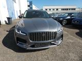 Jaguar F-Pace D 300 R-DYNAMIC SE AWD - Jaguar mit Diesel-Antrieb