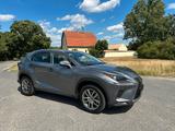 Lexus NX 300h Business-Allradantrieb-Hybrid-Automatik - Lexus in Berlin: Nx