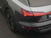 Audi Q8 e-tron - Vorschau Bild 19