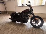 Harley-Davidson Sporty Iron 1200 - HARLEY-DAVIDSON SPORTY