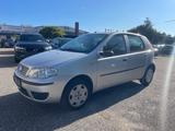 Fiat Punto 1.2 8V Classic /HU+AU 8.2028 - Fiat Punto Gebrauchtwagen in München