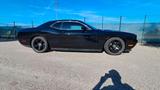 Andere Dodge Challenger 3.6 V6  309 PS  US Impo... - Andere: Sportwagen