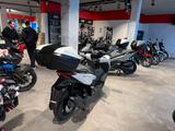 Honda Forza 125 Matt Cool White *sofort verfügbar* - HONDA ROLLER 125