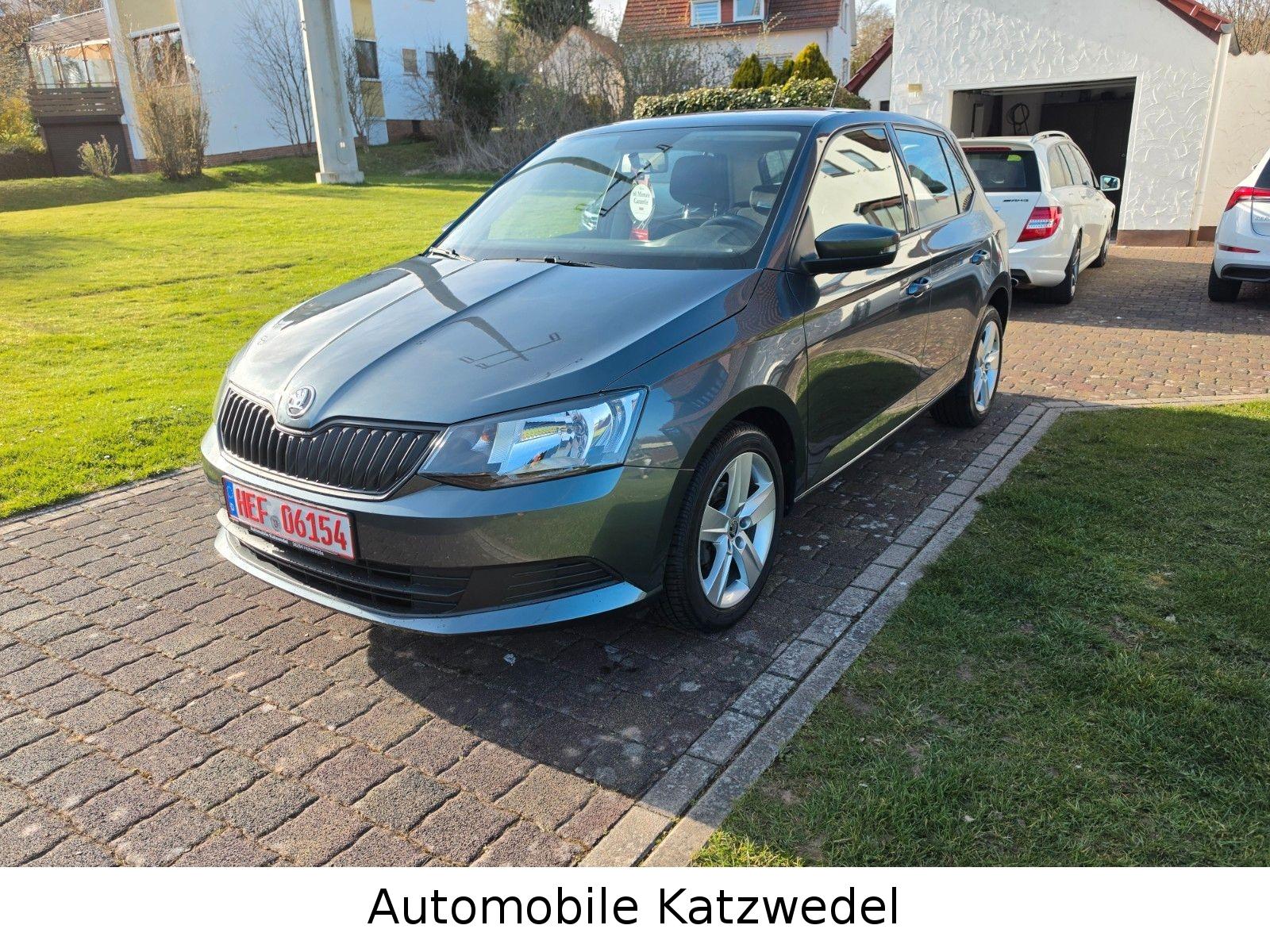 Skoda Fabia Cool Edition/Sitzheizung/Garantie