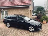 Skoda Octavia 1.0 TSI Tour Combi Tour - Skoda Octavia: Tour